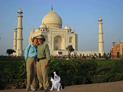 dog at taj mahal