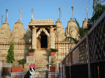 dog at temple