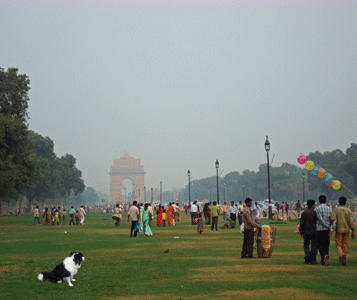 dog at India gate