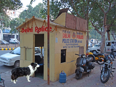 dog at police station