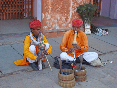 men with cobras