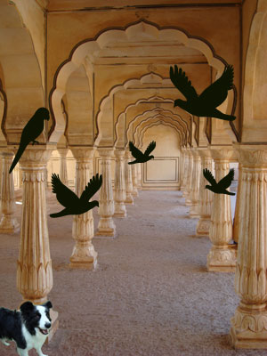 Fort in Jaipur